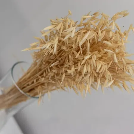 Gran Apto A 5 Min De Casco Viejo. Familias, Grupos Apartment