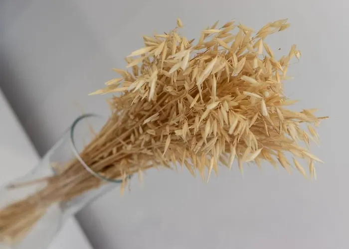 Gran Apto A 5 Min De Casco Viejo. Familias, Grupos Appartamento